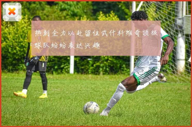 热刺全力以赴留住武什科维奇顶级球队纷纷表达兴趣